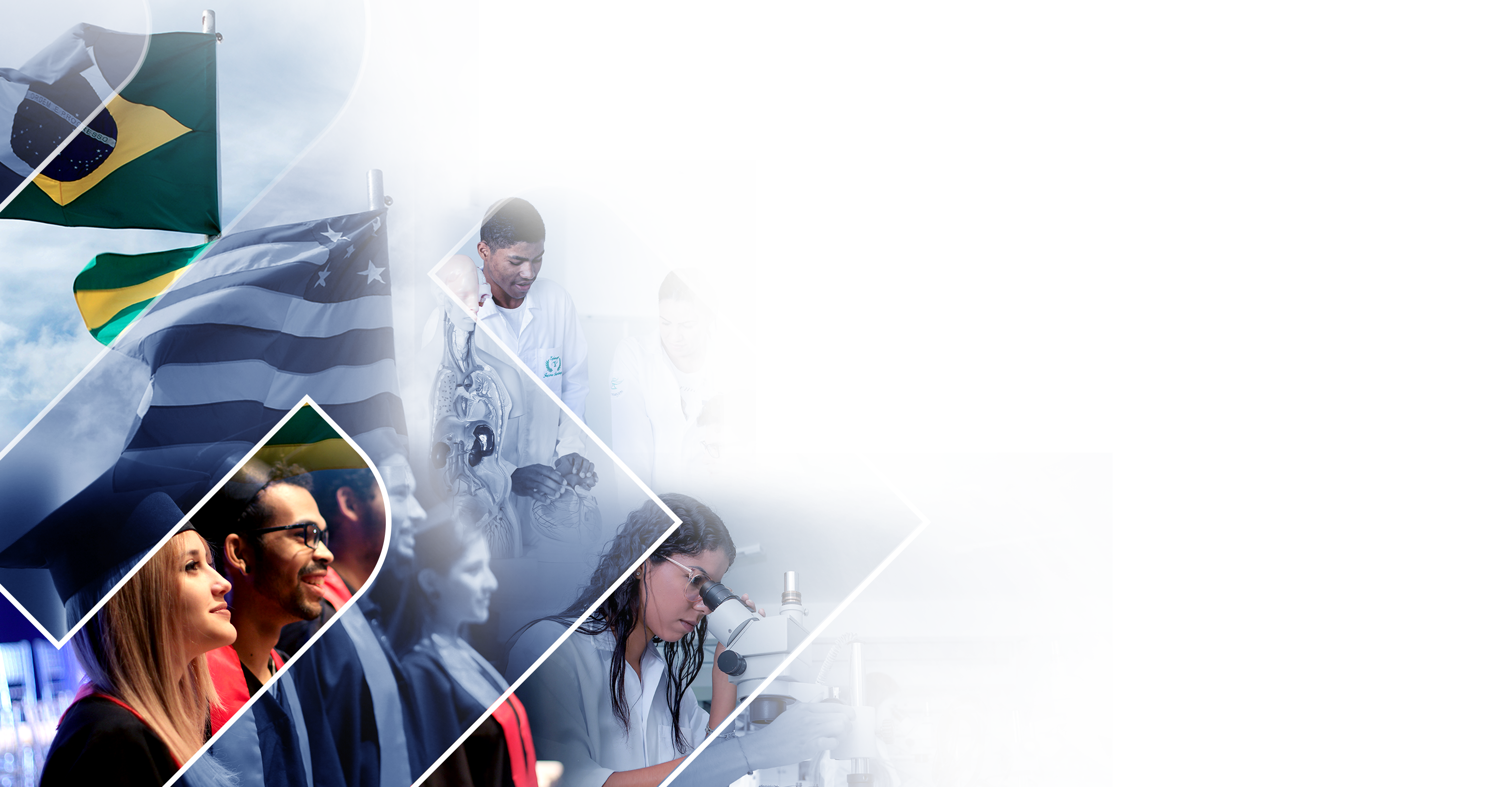 Estudantes, pesquisadores e símbolos da UEG